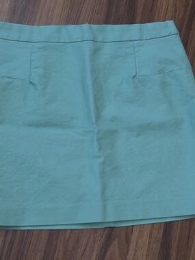 Max Studio Aqua Mini Skirt